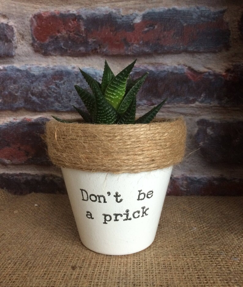 Plant pot gift 'Don't be a prick' indoor novelty Etsy
