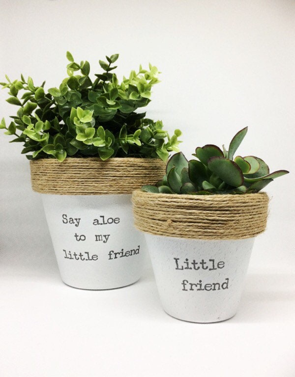 Planters & Pots Home & Living Outdoor & Gardening Mini pot for plants