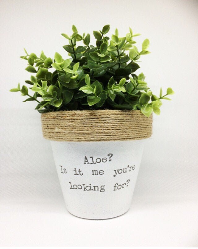 Plant pot gift 'Aloe Is it me your looking for' Etsy