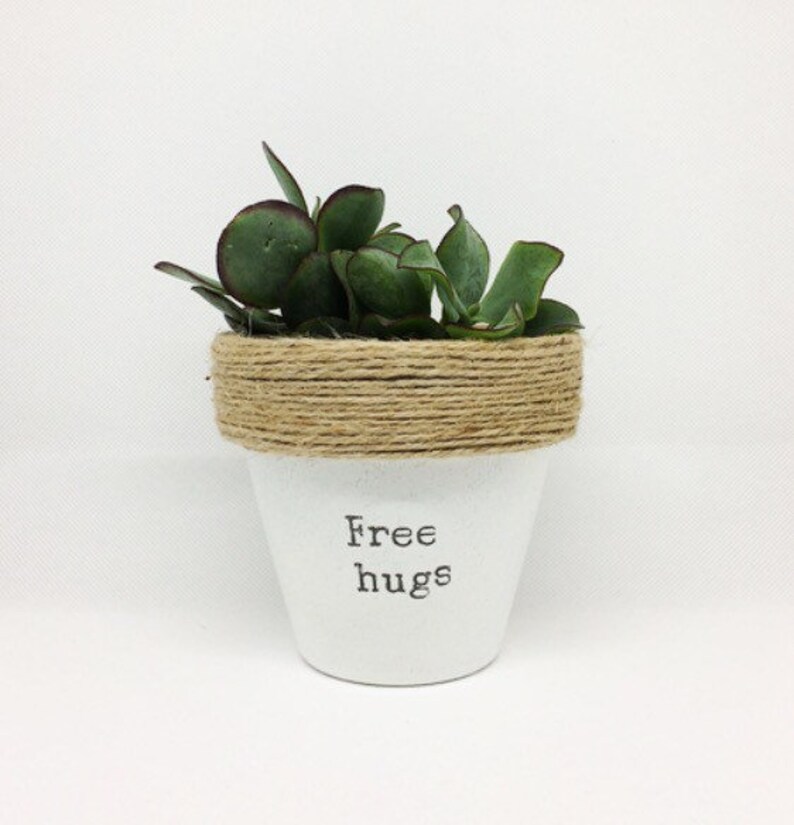 Plant pot gift 'Free hugs' cactus indoor novelty Etsy