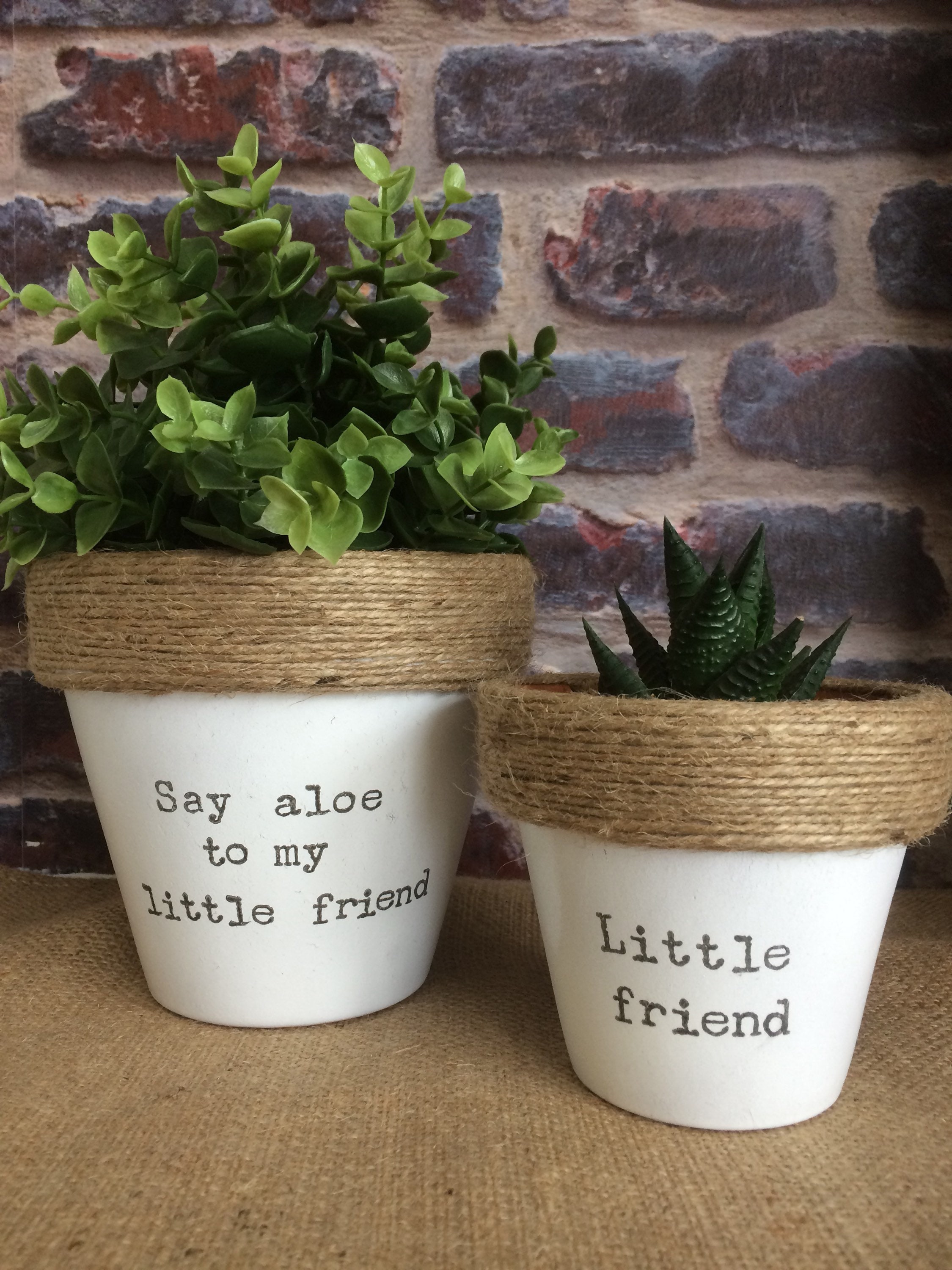 Plant pot gift 'Say aloe to my little friend' & Etsy