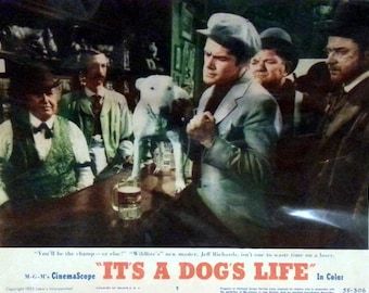 Lobby Card from the 1953 film It's A Dog's Life