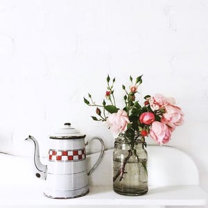 May include: A white enamel teapot with a red and white chequered band stands beside a glass jar filled with pink roses. The teapot has a curved spout and a handle. The jar is clear with a metal clasp.