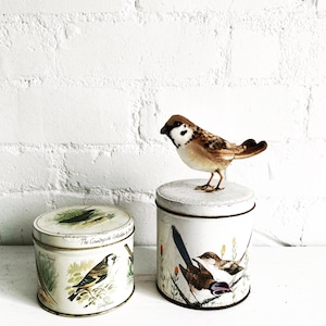 Vintage Bird Design Tins