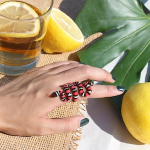 Milk Snake Ring, Enamel Jewelry, statement piece, Ocean Creature,  Hand-painted, Snake ring, Milk snake, GOODAFTERNINE