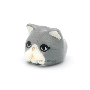 Jumpa , Grey Persian Cat Ring image 3