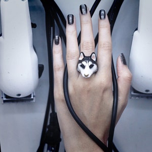 Storm , Husky Ring
