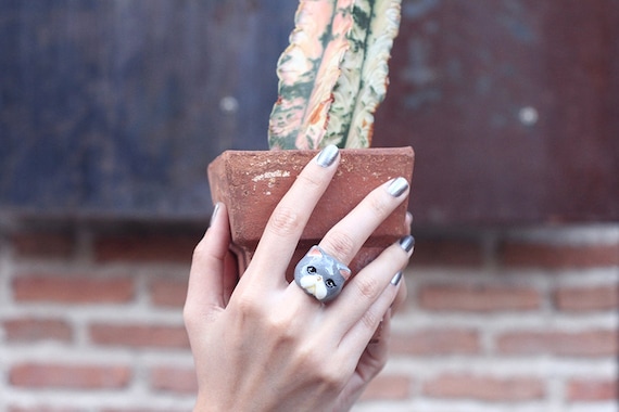 Jumpa Grey Persian Cat Ring Canada