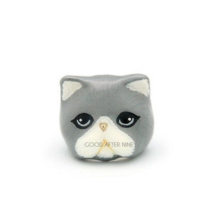 Jumpa , Grey Persian Cat Ring image 2