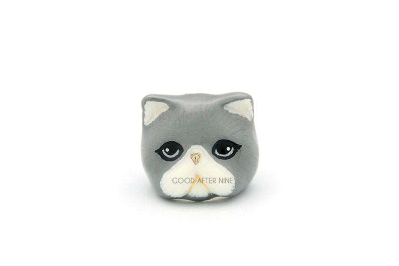 Jumpa , Grey Persian Cat Ring image 2