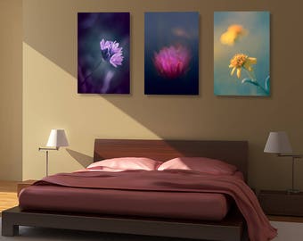 Gallery wall art - Set of 3 photographs with print options - home decor collage flower photography package