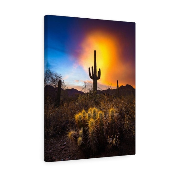 Fine Art Hiking Landscape Photography Portrait Desert Cactus | Etsy