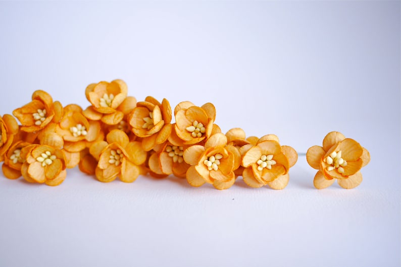 . 50 pieces brown golden color size 2.5 cm dry blond color Cherry blossom Paper flower