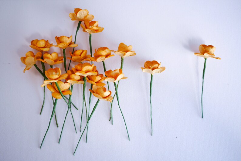 . 50 pieces brown golden color size 2.5 cm dry blond color Cherry blossom Paper flower