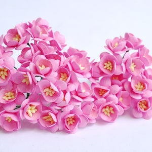 Paper flower, 50 pieces mulberry cherry blossoms, pink color.