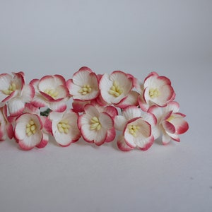 Paper flower, 50 pieces Sakura, paper crafting, DIY supplies, cherry blossom, wedding decoration, red brush white color.