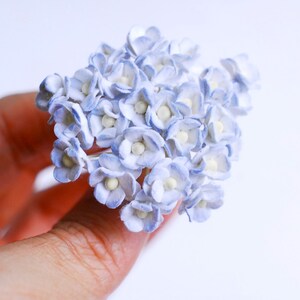 Paper Flower, 100 pcs.,Butterflies flower, 1 cm.,Blue brush white color.