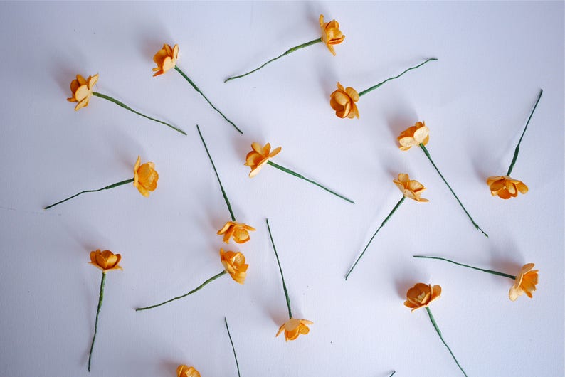 . 50 pieces brown golden color size 2.5 cm dry blond color Cherry blossom Paper flower