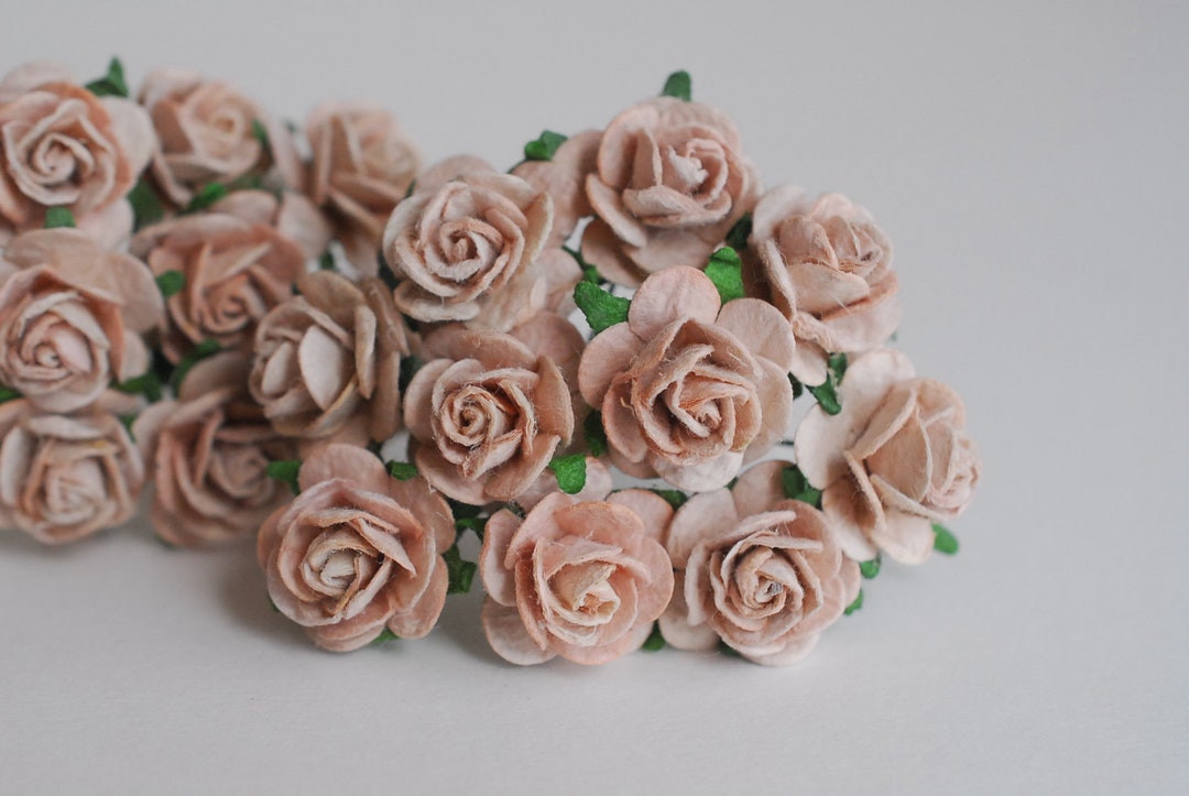Pale Brown Paper Roses: Handmade Flower Embellishments (2cm, 50pcs) - Etsy
