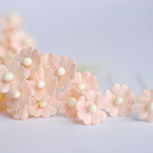 color. Flat Small daisy flowers size 0.5 cm Paper Flower orange to be red 100 pcs Scarlet