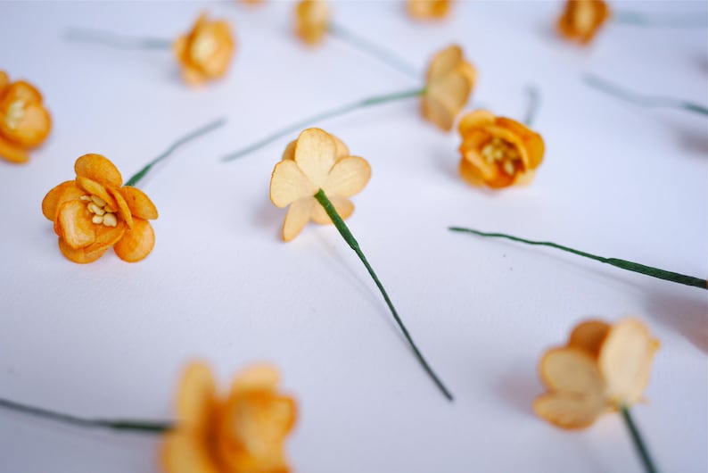 . 50 pieces brown golden color size 2.5 cm dry blond color Cherry blossom Paper flower