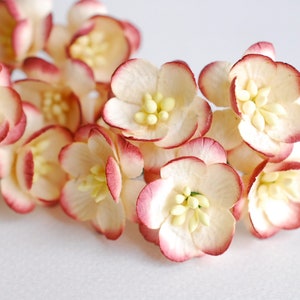 Paper flower, 50 pieces, size 2.5 cm. paper centerpieces, DIY supplies; Cherry blossom, Sakura,  ivory brush dark red  color.