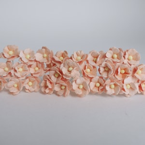 Paper Flower, DIY Wedding supplies, centerpieces, handmade flower: 100 pieces, handmade hydrangea flowers, size 2 cm., peach color.