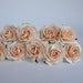 see more listings in the mini rose size M section