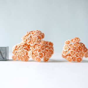 color. Flat Small daisy flowers size 0.5 cm Paper Flower orange to be red 100 pcs Scarlet