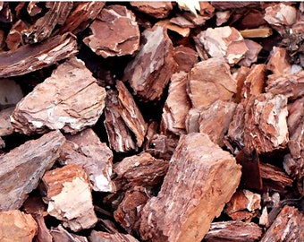Pine Bark (Raw)