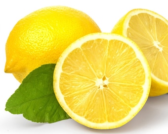 Lemon Fruit Extract