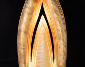 Lampe Lichtskulptur Shelter