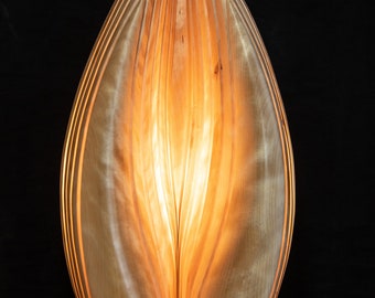Lamp light sculpture Vessel
