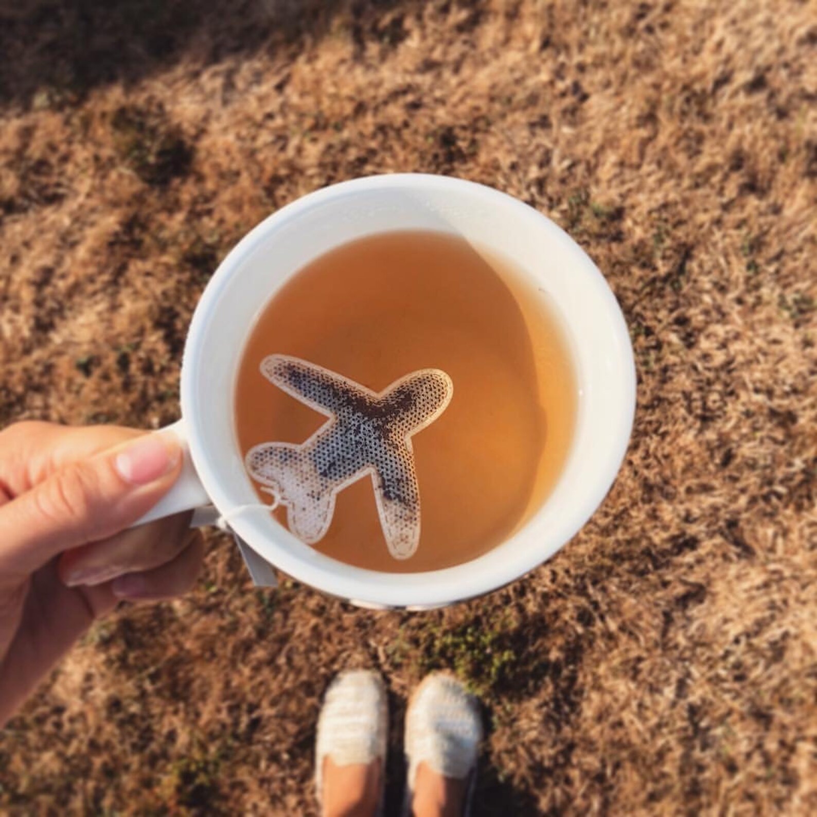 Plane shaped tea bags pastel aeroplanes gift travel Etsy