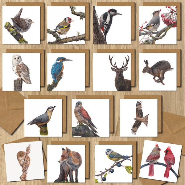 5 pack random selection Wildlife Artist Greeting Cards