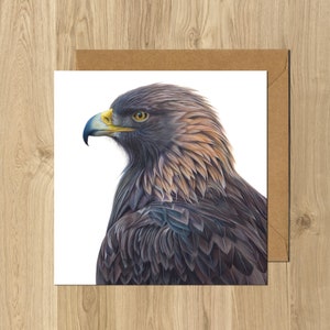 Golden Eagle Bird of Prey Animal Artist Greeting Card Dad Grandad Bird Lover Birthday Card image 1