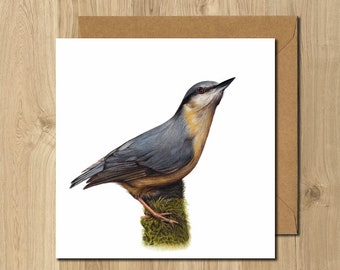 Nuthatch Bird Animal Artist Greeting Card
