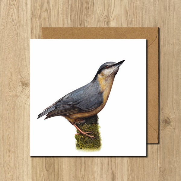 Nuthatch Bird Animal Artist Greeting Card