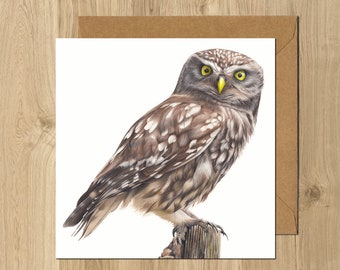 Little Owl Animal Artist Greeting Card Bird of Prey