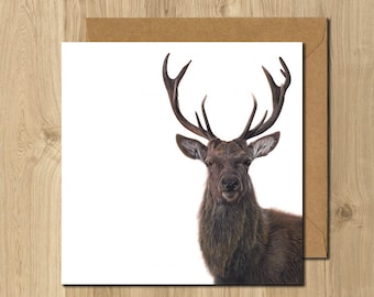 Stag Deer Animal Artist Greeting Card