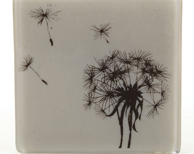 Dandelion Clock Seed Head Glass Coaster, Flower Head Drinks Holder, Made to order in your choice of colour