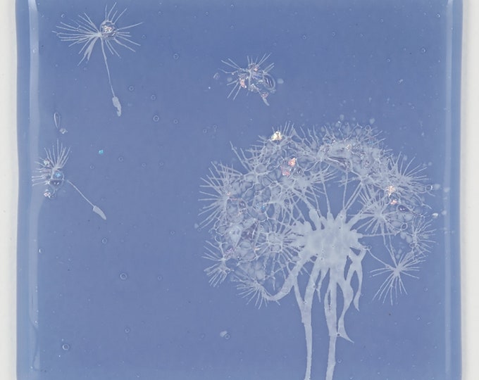 Glass Screen-Printed, Kiln-Fired Dandelion Coaster