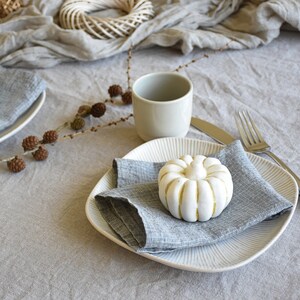 Natural linen napkins set Blue linen napkins patterned linens home table serving holiday trends provence style table decor napkins image 5