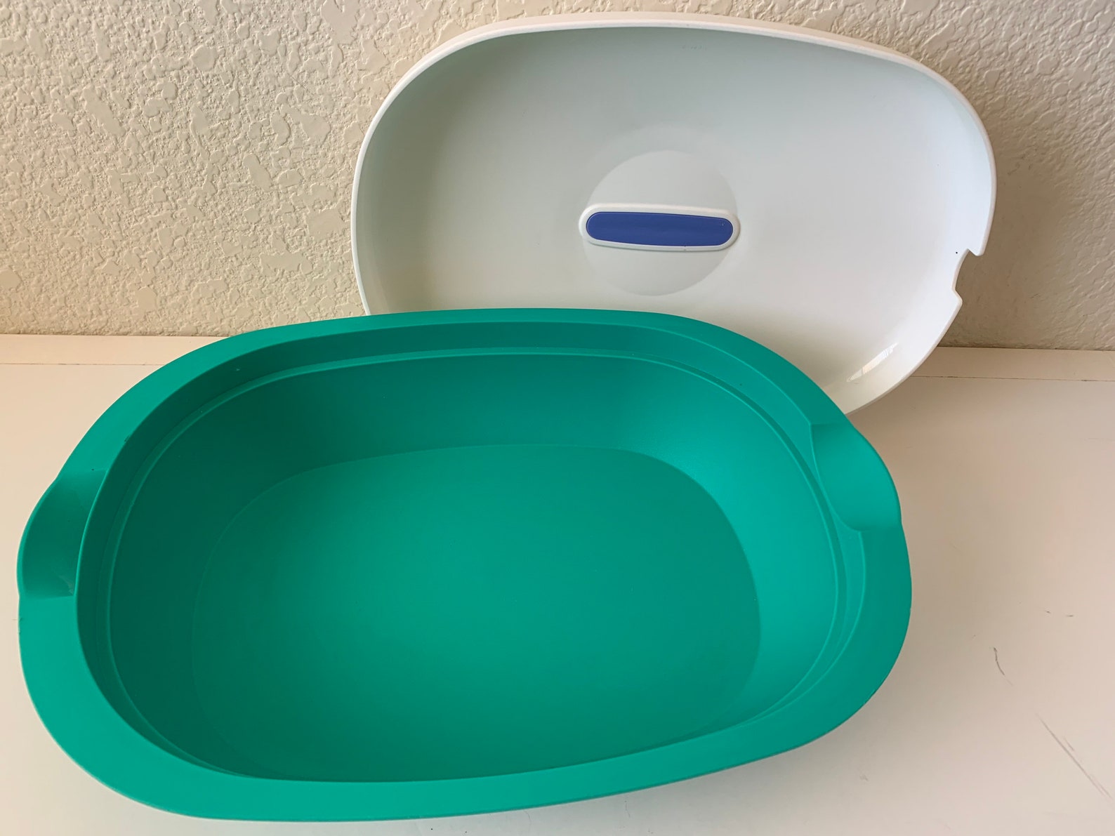 Tupperware Teal Legacy Microwave Oval Casserole Serving Dish Etsy Italia