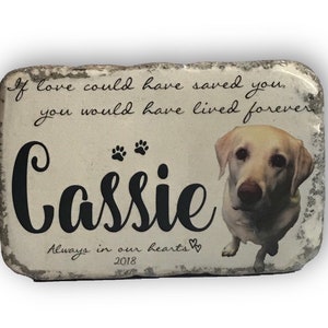 Personalized Pet Memorial Stone | Custom Pet Grave Marker | Memorial Garden Stone | Sympathy Gift | Loss of Pet | If Love Could Have Saved