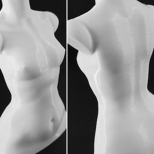 May include: A white 3D printed torso sculpture showing the front view on the left and the back view on the right. The smooth, glossy surface highlights the anatomical contours of the chest, waist, and shoulders in a clean, monochromatic finish.
