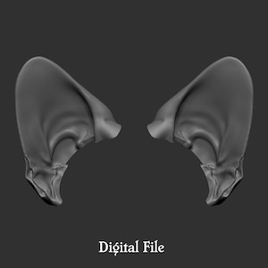 May include: A pair of stylized, gray cat ears, rendered in a 3D digital format. The ears are upright, with detailed inner structures and a smooth, matte finish. The text "Digital File" is displayed at the bottom of the image.