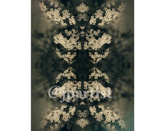 Dark Floral Artwork. Abstract Photographic Artwork Unframed. Gothic inspired wall decor