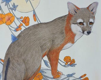 Gray Fox in the Trumpet Vines (print)– Dreamlike Mixed Media Painting