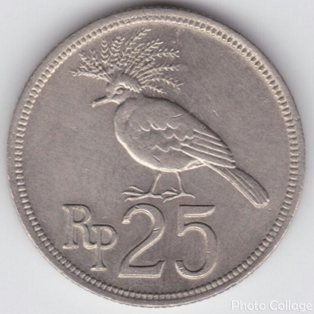 Монета с птицей. Birds монеты